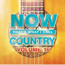 Now That's What I Call Country! Volume 16 - Various Artists